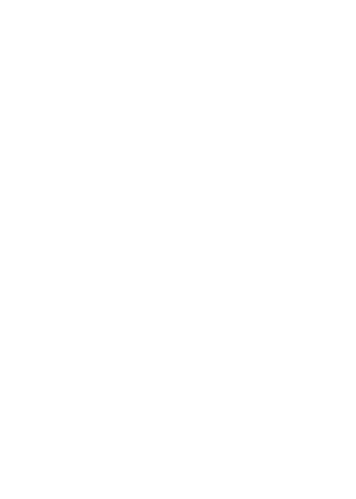 Lion Cases logo